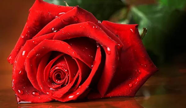 2024年七月黃道吉日嫁娶 本月結(jié)婚嫁娶好日子一覽