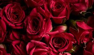 卜算子算命網(wǎng)