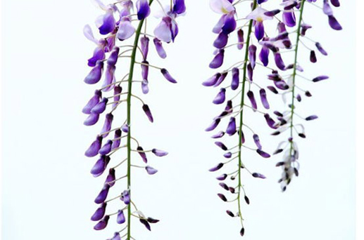 2024年農(nóng)歷三月二十五是老黃歷開張吉日嗎 適不適合開業(yè)