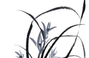 卜算子算命網(wǎng)