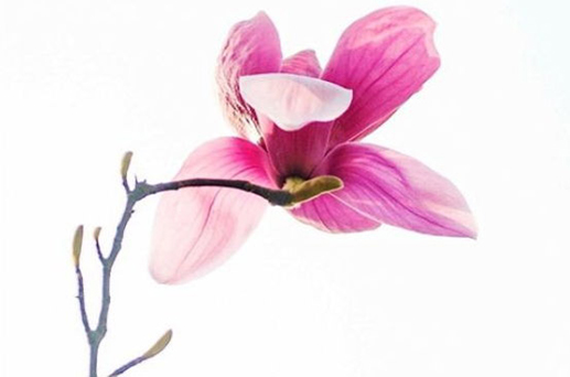 2024年6月14日安門好不好 是安裝大門的吉日嗎