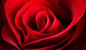 卜算子算命網(wǎng)