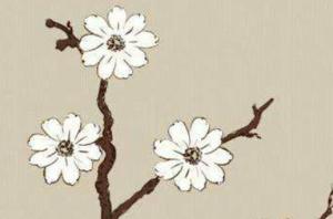 卜算子算命網(wǎng)