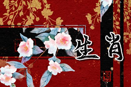 越活越年輕的生肖女，秘訣原來在這里