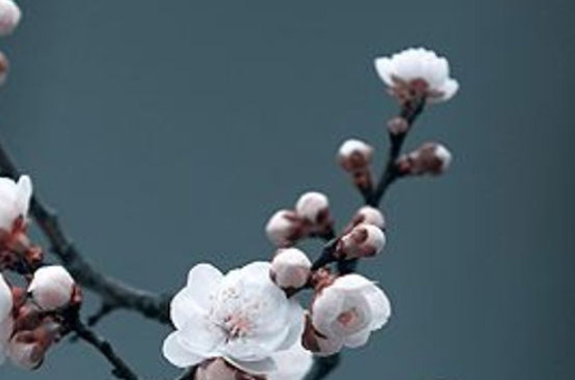 2024年6月16日父親節(jié)是出行最吉利日子嗎 外出好嗎