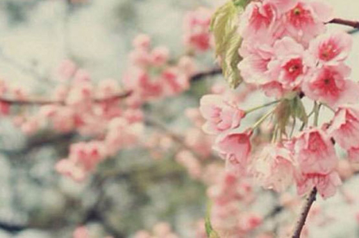 2024年6月16日父親節(jié)安裝大門吉不吉利 是最佳安門吉日期嗎