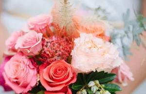 卜算子算命網(wǎng)