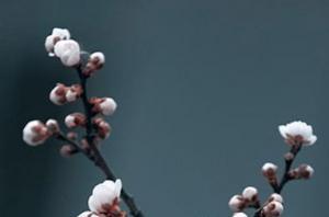 卜算子算命網(wǎng)