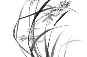 卜算子算命網(wǎng)