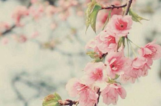 2024年6月17日修建房屋開工動土好嗎 當天動土吉時查詢