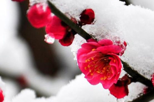 2024年6月17日是提車(chē)吉日嗎 宜喜提新車(chē)嗎