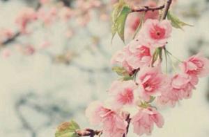 卜算子算命網(wǎng)