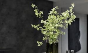 卜算子算命網(wǎng)