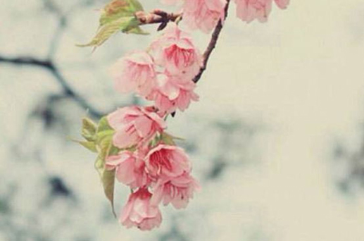 2024年6月19日可以動(dòng)土嗎 是修造動(dòng)土大吉日嗎