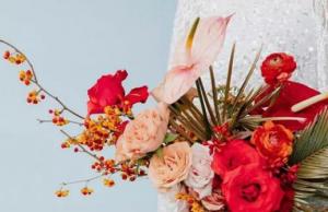 卜算子算命網(wǎng)