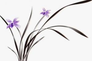 卜算子算命網(wǎng)