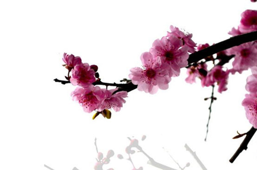 2024年6月20日是上等開(kāi)工黃道吉日嗎 這天適合復(fù)工嗎