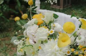 卜算子算命網(wǎng)