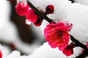 卜算子算命網(wǎng)