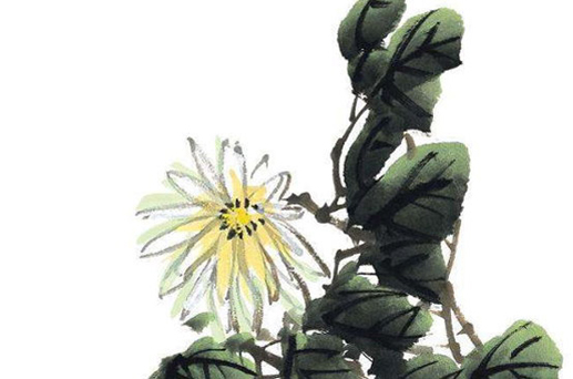 2024年6月21日夏至是店鋪開業(yè)吉日 老黃歷宜開工嗎