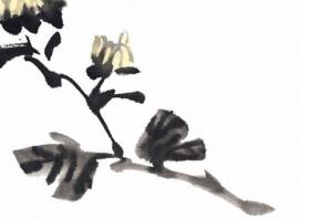 卜算子算命網(wǎng)