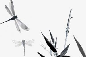 卜算子算命網(wǎng)