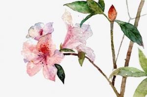 卜算子算命網(wǎng)