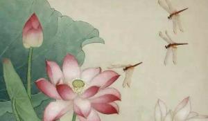 卜算子算命網(wǎng)