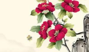 卜算子算命網(wǎng)