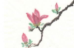 卜算子算命網(wǎng)