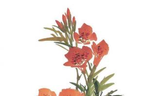 卜算子算命網(wǎng)