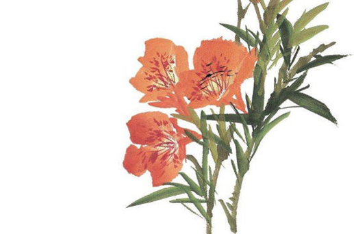 2024年6月24日是安門最好的時間嗎 宜安房門嗎