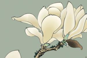 卜算子算命網(wǎng)