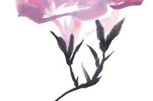 卜算子算命網(wǎng)