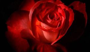 卜算子算命網(wǎng)