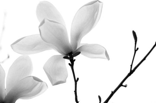 2024年農歷四月十一是開張大吉好日子嗎 門店開業(yè)吉時查詢