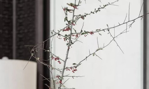 2024年6月26日宜新房開工裝修嗎 是裝潢設(shè)計(jì)的黃道吉日嗎