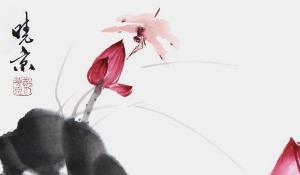 卜算子算命網(wǎng)