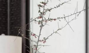 卜算子算命網(wǎng)