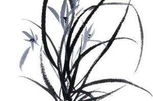 卜算子算命網(wǎng)