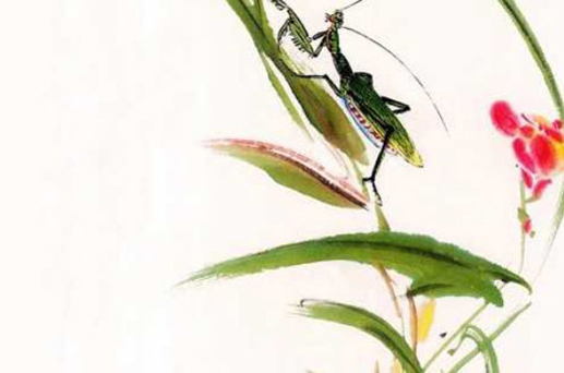 2024年6月27日購置新車好嗎 是新車上牌好日子嗎