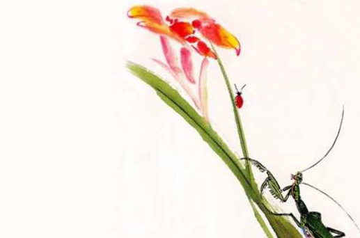 2024年6月27日出行好不好 是出門旅游的最佳時機嗎