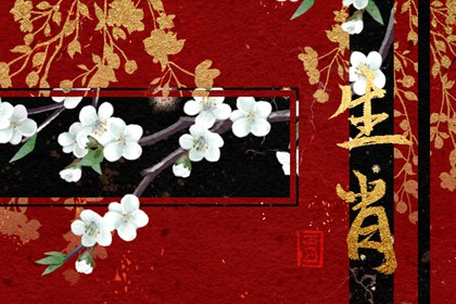 6月學(xué)習(xí)運(yùn)最好的生肖2024年 ?；⒑镉型鸢耦}名