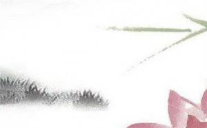 卜算子算命網(wǎng)