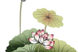 卜算子算命網(wǎng)