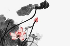 卜算子算命網(wǎng)