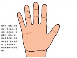 感情線很短代表什么