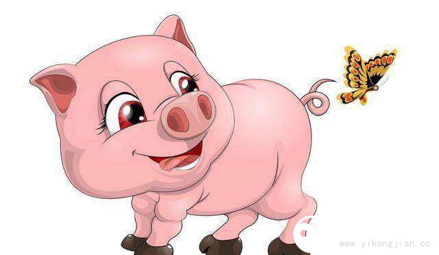 屬豬O型血的性格特點(diǎn) 屬豬O型血的男女性格特點(diǎn)