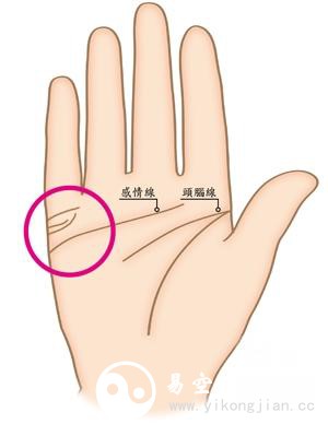 旺夫相女人手相特征 女性旺夫手是怎么樣的