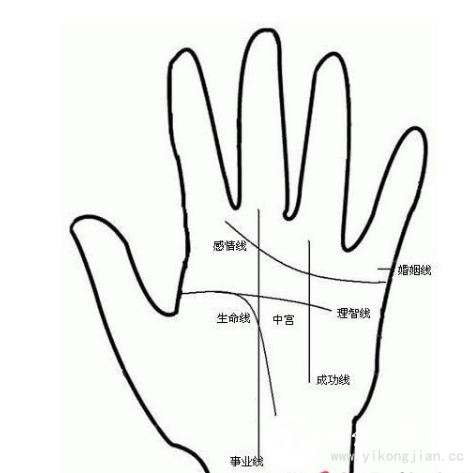 旺夫相女人手相特征 女性旺夫手是怎么樣的